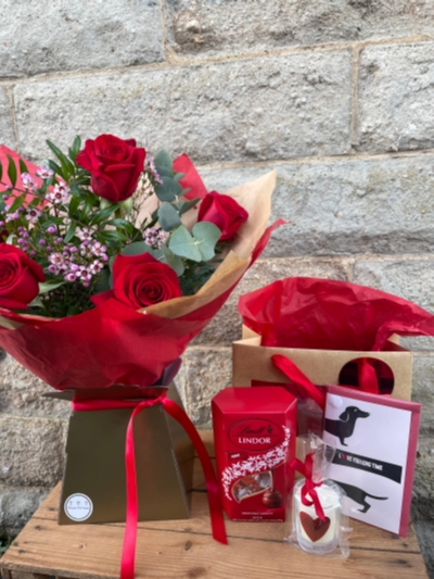 6 Red Rose Bouquet and Gift Set