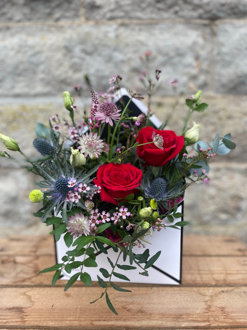 Valentine's Love Letter