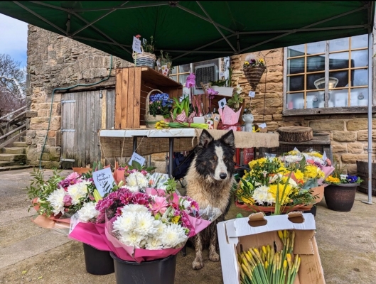 Florist's Special Mother's Day Bouquet