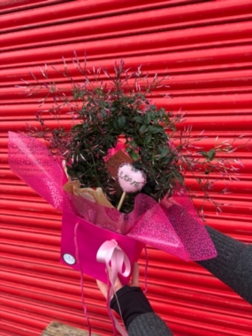Pink Jasmin in Gift Bag 