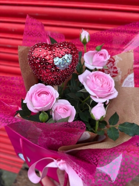 Rose Plant in Gift Bag