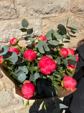The Perfect Peony Bunch